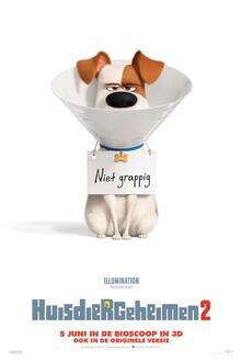 Huisdiergeheimen 2 / Secret Life of Pets 2 Filmposter van Huisdiergeheimen 2 / Secret Life of Pets 2